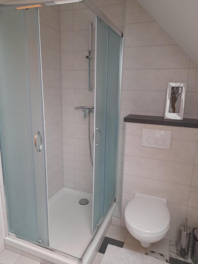 Appart 4 Pers Refait Neuf 90M2 Avec Balcon バルデンハイム エクステリア 写真